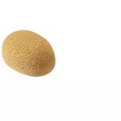 Ovaler poly Schwamm