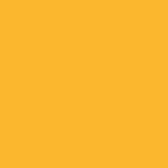 S 1070-Y10R | NCS
