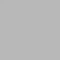S 3005-R20B | NCS