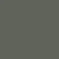 S 7005-G50Y | NCS