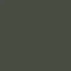 S 8005-G50Y | NCS