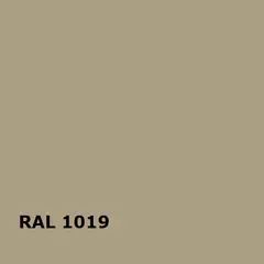 RAL RAL 1019