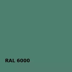 RAL RAL 6000