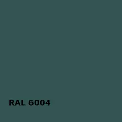 RAL RAL 6004