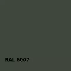 RAL RAL 6007