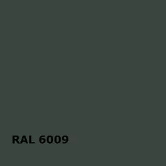 RAL RAL 6009