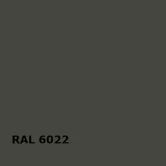 RAL RAL 6022