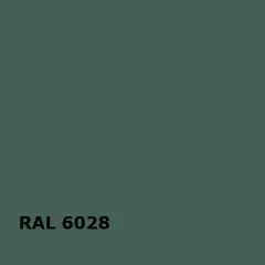 RAL RAL 6028