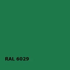 RAL RAL 6029