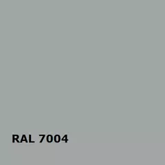 RAL RAL 7004