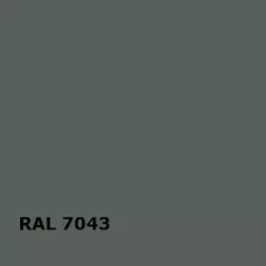 RAL RAL 7043