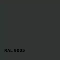 RAL RAL 9005