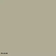 Sikkens F9.10.60