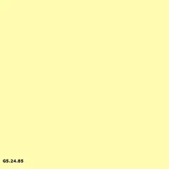 Sikkens G5.24.85