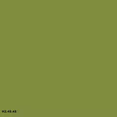 Sikkens H2.45.45
