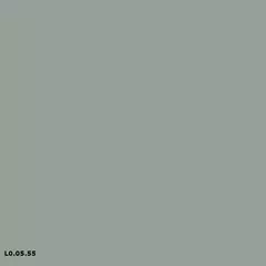 Sikkens L0.05.55