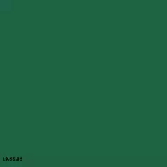 L9.55.25 | Sikkens