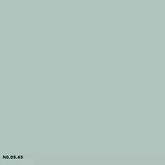 Sikkens N0.05.65