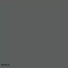 Sikkens ON.00.31