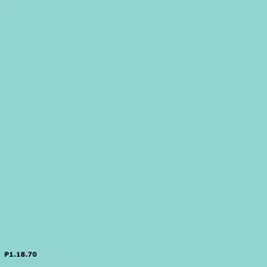 P1.18.70 | Sikkens