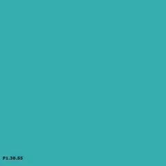 Sikkens P1.38.55