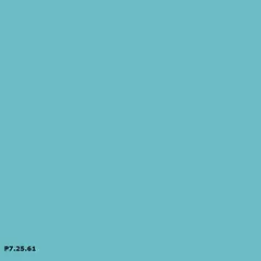 Sikkens P7.25.61