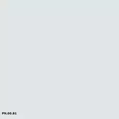 Sikkens PN.00.81