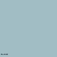 Sikkens R1.10.65