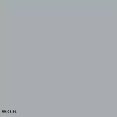 RN.01.61 | Sikkens