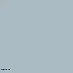 Sikkens S0.05.65