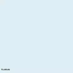 Sikkens T1.05.81