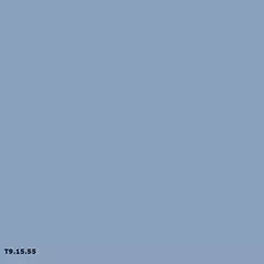 Sikkens T9.15.55
