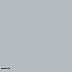 Sikkens TN.01.65