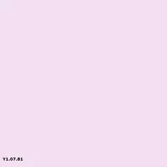 Y1.07.81 | Sikkens