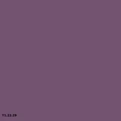 Sikkens Y1.22.29