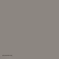 ABITA 0340 WISE GREY