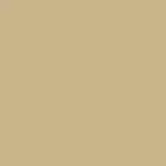 CAT'S PAW 240 - Equivalente visivo ispirato a Farrow & Ball