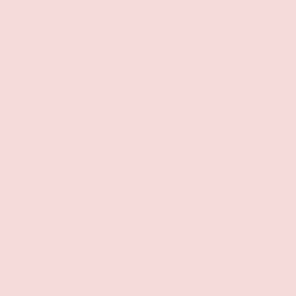 S 0520-R10B | NCS