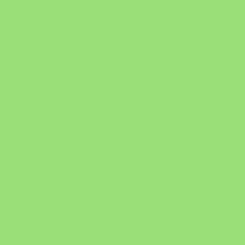 S 0560-G20Y | NCS