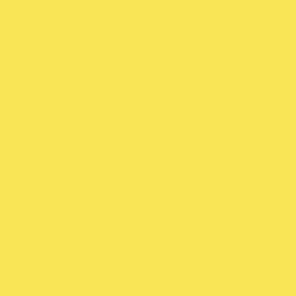 S 0560-G80Y | NCS