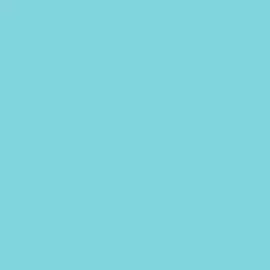 S 1040-B20G | NCS