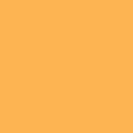 S 1060-Y20R | NCS