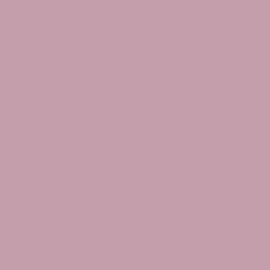 S 2030-R20B | NCS