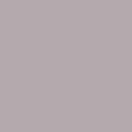 S 3010-R20B | NCS