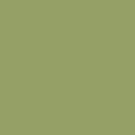 S 3040-G40Y | NCS