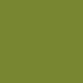 S 3065-G40Y | NCS