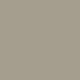 S 4005-Y20R | NCS