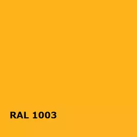 RAL 1003 | RAL