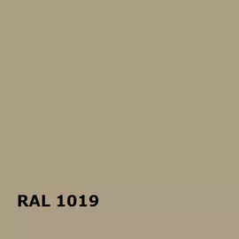 RAL 1019 | RAL