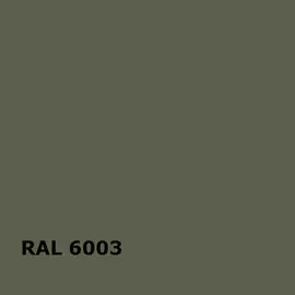 RAL 6003 | RAL